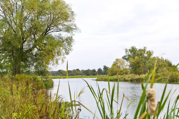 Elbtalaue und Natur der Prignitz