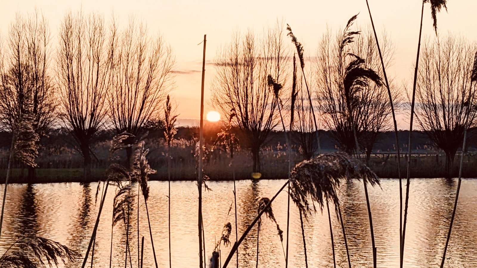 Abend an der Elbe