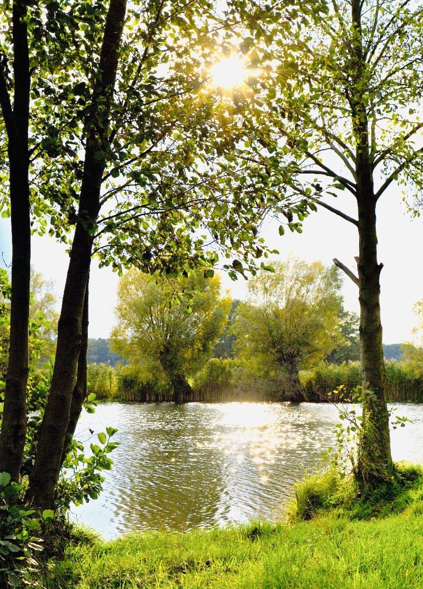 Wasser und Sonne