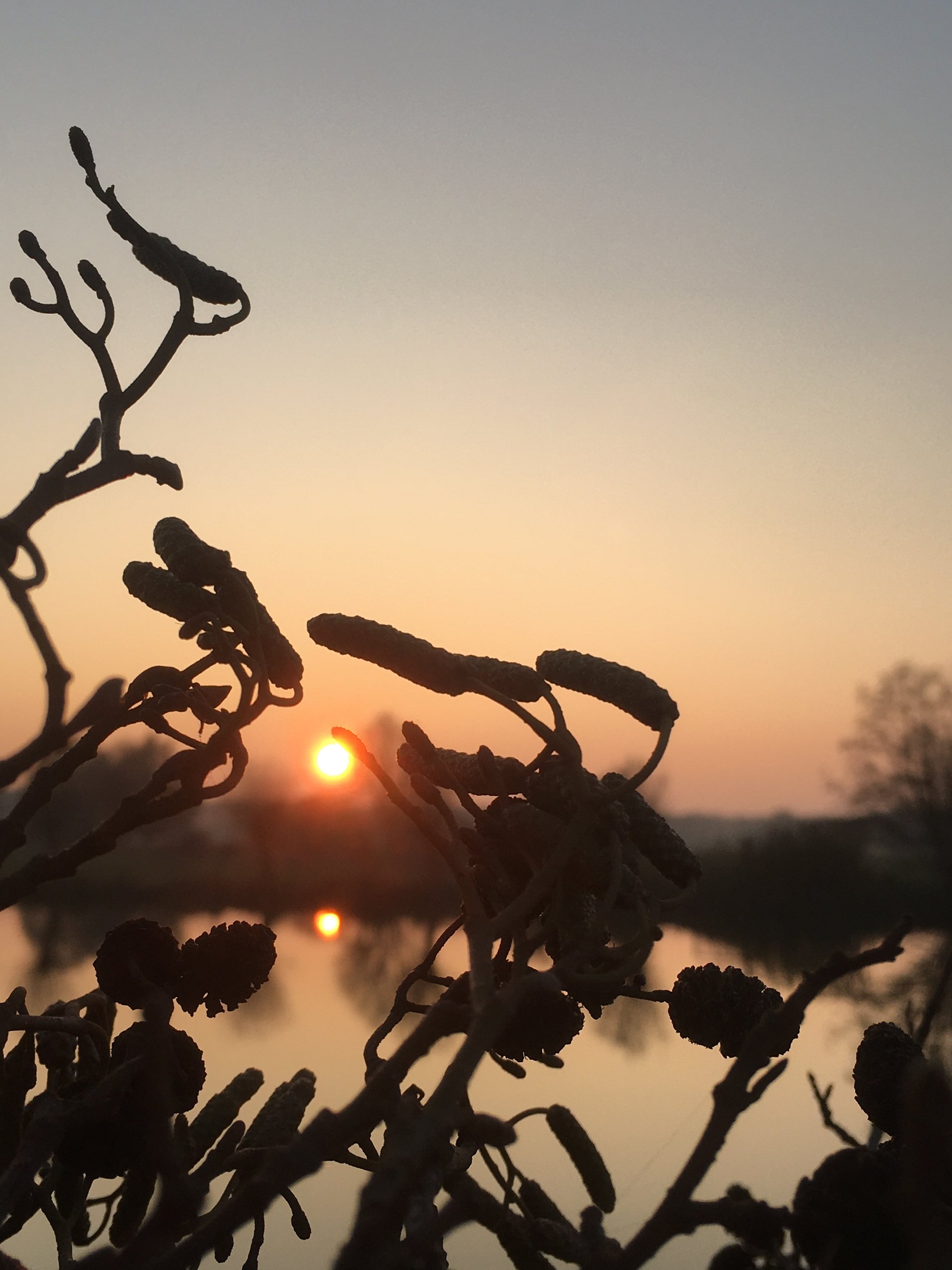 Natur am Abend
