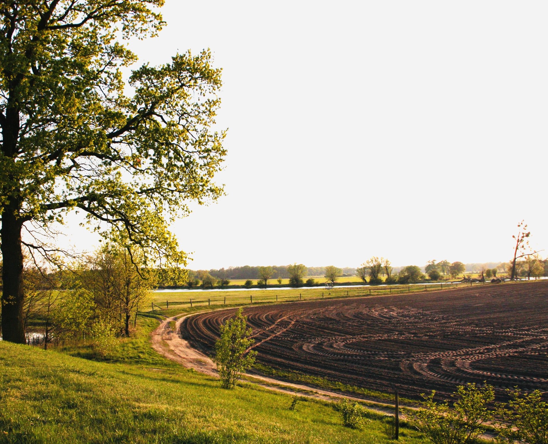 Der Weg